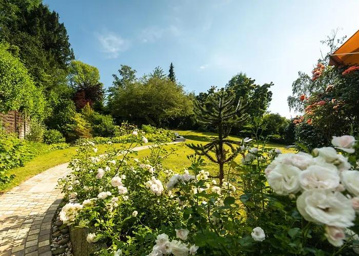 Burgblick Badenweiler